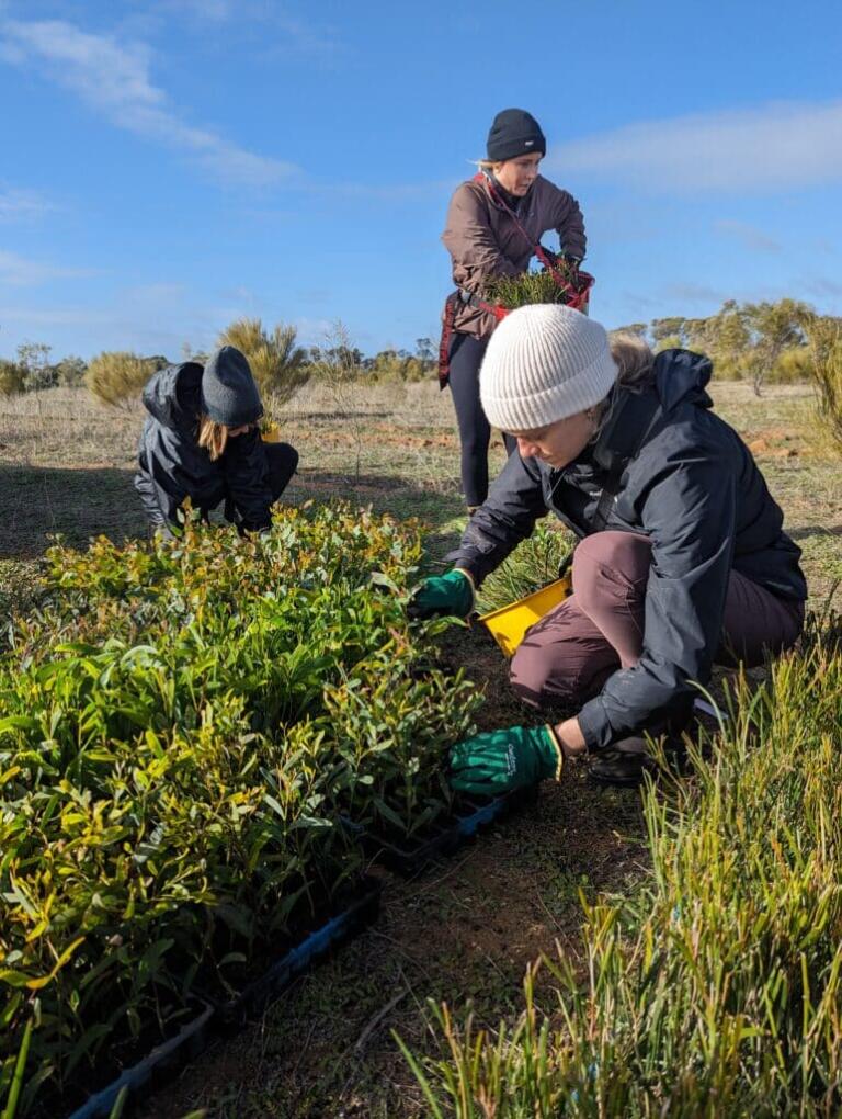 PCEC Carbon Positive Australia