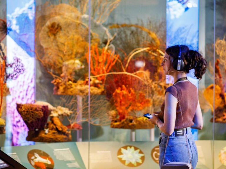 WA Museum Boola Bardip